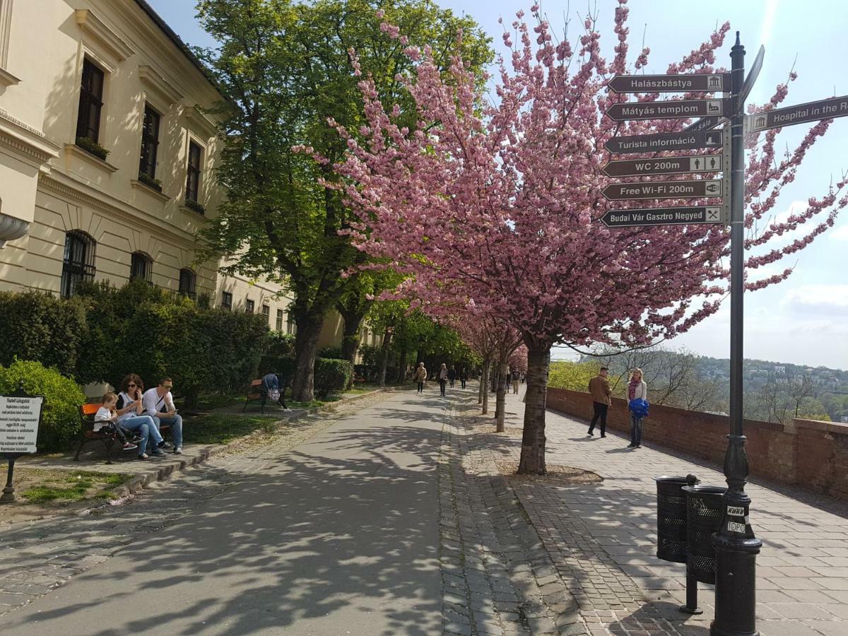 Budasmile Appartment At Buda Castle - Aircon & Free Parking Budapeszt Zewnętrze zdjęcie